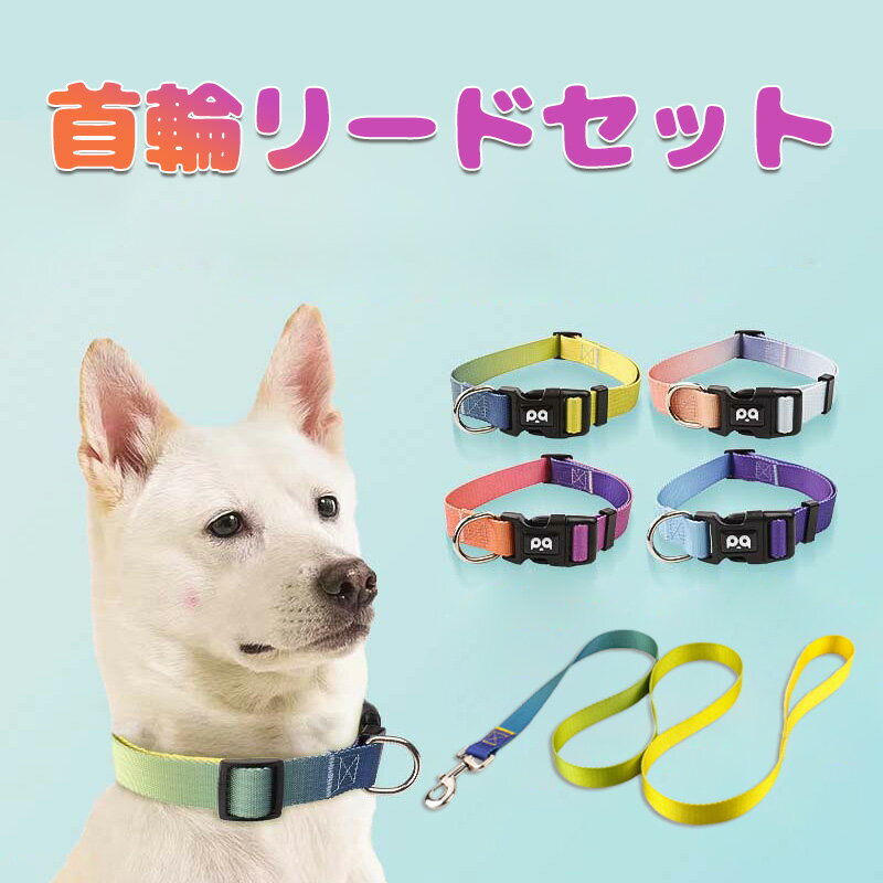 即納 リード 小型犬 首輪 リードセット 犬 散歩用 かわいい グラデーション 中型犬 小型 犬 おしゃれ かわいい ブランド 痛くない 猫 可愛い
