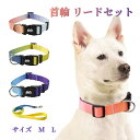 L Mサイズ リード 中大型犬 首輪 リードセット 犬 散歩用 かわいい グラデーション 中型犬 犬 おしゃれ かわいい ブランド 痛くない 猫 可愛い