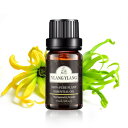 Poven イランイラン エッセンシャルオイル 天然100% イランイラン精油 アロマオイル 10ml