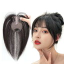 総手植えポイントウィッグ 前髪分け目自然 トップヘアーピース 女性用部分ウィッグ 白髪隠し 部分かつら 薄毛白髪隠し 増毛 薄毛 円形脱毛症 日常通勤用 ウィッグ (ライトブラウン)