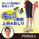 PROIDEA(プロイデア) ヒップアップグッズ キュットアッパー 0070-3653-00