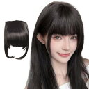 GFun 前髪ウィッグ ぱっつん 自然 サイドバング 総手植 部分ウィッグ ポイントウィッグ 仮装 日常 黒褐色