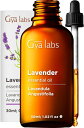 Gya Labs ラベンダー エッセンシャルオイル (30 ml) - 肌のための 100% 天然グ レード ラベンダー 精油 - ディフューザー、加湿器用ラベンダー アロマオイル