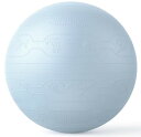 PROIRON バランスボール 65cm ばらんすぼーる トレーニングガイドパターン付き 厚い ジムボール バランスボール 椅子 スポーツ 耐荷重300KG ア...