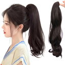 DAILUOSI ポニーテール ウィッグ エクステ 巻き髪 ポイントウィッグ 付け毛 リボン ロング 長さ 40CM 自然 ふわふわ ナチュラル カール 耐熱 自然 簡単装着 増量用 耐熱性ファイバー つけ毛 4