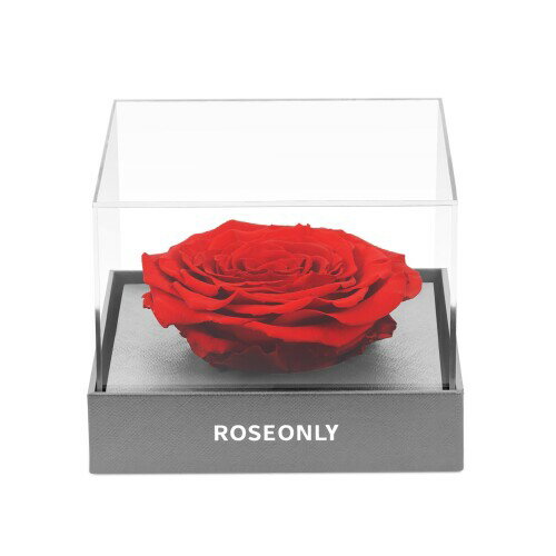 ROSEONLY プリザーブドフラワーボックスデスティニーローズ 本物のローズ 花 誕生日 記念日 母の日 バレンタインデー 告白 プロポーズ 卒業 退職のプレゼント