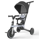 besrey 子供用三輪車 5in1 折りたたみ 手押し棒 1歳 2歳 3歳 ランニングバイク コンパクト 乗用玩具 幼児用 キッズバイク おもちゃ お祝い ギ...