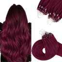 (ALISY) 人毛 ring loop hair チップエクステ レミーエクステ カラー ウィッグ エクステンション 50本 (16inch, BUG#)