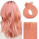 (ALISY) 人毛 シールエクステ TAPE hair レミーエクステ カラー ウィッグ エクステンション 10本 (16inch, PINK#)