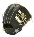 HI-GOLD ハイゴールド 少年軟式用グラブ ROOKIESシリーズ RKG-8113 ブラック LH 右投 L-LL(対象4~6年生)