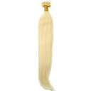(ALISY) 人毛 NAIL U TIP チップエクステ レミーエクステ カラー ウィッグ エクステンション 50本セット (16inch, 60#)