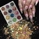12色セット DIY ホログラフィック レーザ ネイルポリッシュ 超薄型ネイルアクセサリー 六角形 サイズ混合 スパンコール ネイルグリッター アートクラフト手工芸品の装飾 LBC-12C-S1