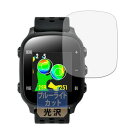 Leipsden GreenOn THE GOLF WATCH NORM GN301 対応 FlexBlueGloss 保護 フィルム 曲面対応 ブルーライトカ...