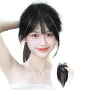 DAILUOSI 前髪ウィッグ 3D構造 部分ウィッグ ヘアピース 総手植え 超自然 ふわふわ レディース エクステ ポイントウィッグ 超薄型 前髪 小顔 耐熱...