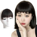 GFun 前髪 ウィッグ アシメ ぱっつん 自然 部分ウィッグ 総手植 ポイントウィッグ 仮装 日常 黒褐色