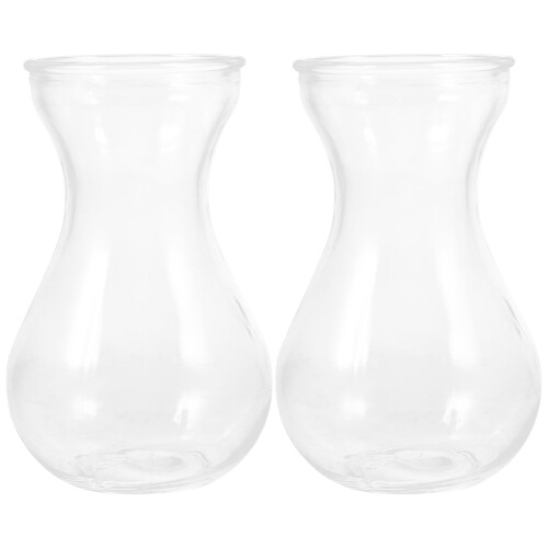 OUNONA ヒヤシンス 花瓶 ガラス 透明 水栽培 容器 2個 ポット ガラス鉢 ヒヤシンスポット プランター テラリウム 容器 植物用 花瓶 一輪挿し おしゃれ クリア デスクトップ