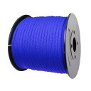Cheerly パラコード 9芯 4mm 30m テントロープ パラシュートコード キャンプ サバイバル アウトドア 吹雪強風対策 アクセサリー制作 (ブルー1)