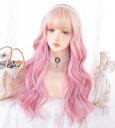 RyuuCos ロリータ かつら ロングヘア カール 巻き髪 ピンク ウィッグ 桃色グラデーション 自然 原宿系 コスプレ 耐熱性 変装 仮装 プレゼント イベント ハロウイン クリスマス 学園祭 文化
