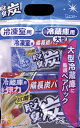 脱臭炭 ペアセット 大型冷蔵庫用240g+冷凍庫用70g 脱臭剤
