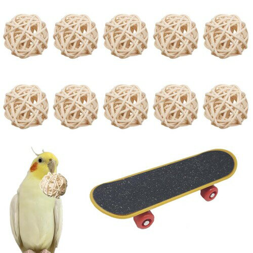 11ĥ    Ļ      ߥ ܡ ̵忧 ʥ 顼 3cm ...