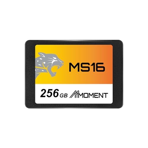 MMOMENT MS16 256GB 2.5インチ SSD SATA3 6Gb/s (読込最大550MB/s)