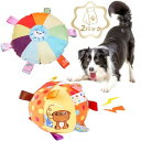 CANPLUS 2パック 犬 おもちゃ ぬいぐるみ 人気 犬用おもちゃ 犬のおもちゃ ボール 投げるおもちゃ フリスビー フライングディスク 噛みやすい 弾力性...