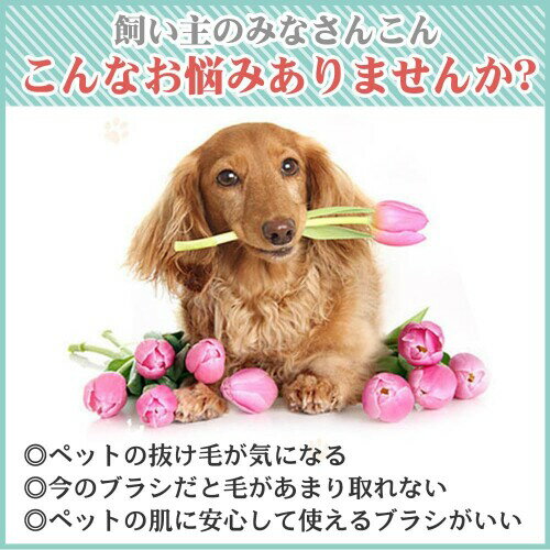 カラーズストア2号店のペットブラシ 犬 猫 ペット ブラシ 毛取り ごっそりよく取れる 毛玉とムダ毛を取り除く ペット用品 (ブルー)｜アングル3