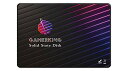 GamerKing 2.5 SSD 512GB SATA III 2.5 Inch 6Gb/s 内蔵型 Solid State Drive ハードドライブ 高性...