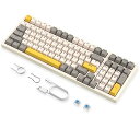 ZIYOULANG K3MAXメカニカル ゲーミング キーボード ホットスワップ対応 有線 96% 100キー 青軸 標準ANSI配列 USB接続 19のカスタ...