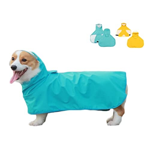 犬用レインコート 梅雨対策 防風 防水ペット用品 雨具 小型犬 中型犬 大型犬ペットレインコート透明なつば付き犬の 洋服 (L,ブルー)
