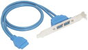 オーディオファン USB3.0 インターフェース 20Pin マザーボード20Pin ? 拡張スロット 2ポート ブラケット付き