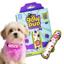 LaRoo 犬 散歩 ライト 光る首輪 USBチャージ式 夜間の移動対策 視認性 3つの発光モード 軽量22 g (適応した、首輪、リード、犬用ハーネス)超小型...