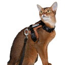 Lucky Friends 抜けない 猫 ハーネス リード付き 散歩用 サイズ調節可能 抜けにくい 簡単装着 猫用 リードセット (ブラック)