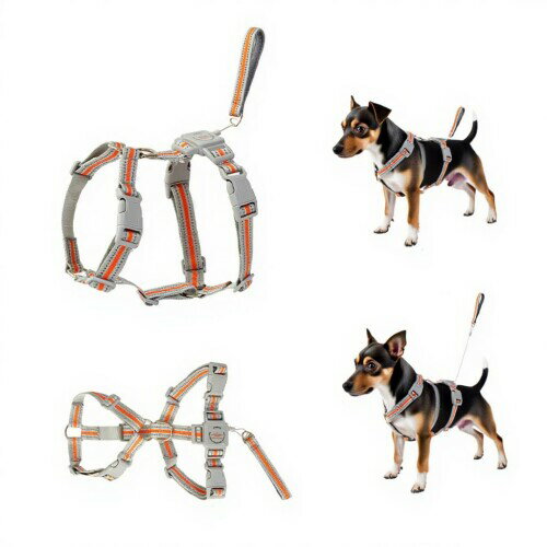 犬 ハーネス 小型犬/中型犬/大型犬ハーネス 犬用胴輪 1.5m自動伸縮パピー付き 歩行補助 散歩 通気性 簡..