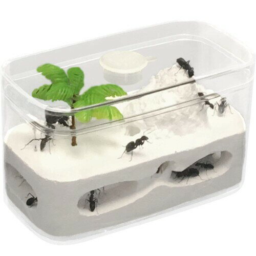 Umora アリ飼育キット 石膏製巣箱 アリ観察キット アリ城 アリ飼育セット（6つの巣）