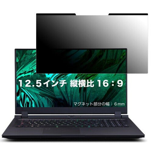 JPフィルム専門製造所 12.5インチ(16:9) マグネット式 覗き見防止フィルム プライバシーフィルター ブルーライトカット (マグネットシート幅6mmタイプ) パソコン PC 液晶保護フィルム 両面