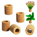 DEVENTORZ 水生植物固定リング 5個入り 水草固定リング 水槽 水草 おもり 水槽の植物ホルダー 水槽オーナメント 飾り 水草 苔盆栽 アクアリウム