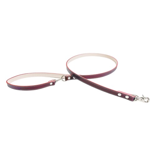 犬 リード 犬リード カラフル 犬 カフェスタイル シンプル 本革 ヌメ革 おしゃれ かわいい 小型犬 中型..