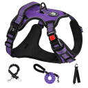 NESTROAD 犬 ハーネス 犬用胴輪 調節可能 夜間反射 小型犬/中型犬/大型犬 通気性 メッシュ 歩行補助 散歩 しつけ用 軽量 安全 おしゃれ 引っ張り...