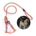 MSACT ハーネス リード 首輪 2点セット ペット用品 人気犬散歩 お出かけ用 散歩ひも 便利 安全 牽引 軽量 調節可能 (S, オレンジ)