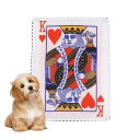 GOODCHI 犬 おもちゃ 噛むおもちゃ 犬専用新聞おもちゃ 知育おもちゃ ストレス解消 耐久性 噛み耐性 清潔 歯磨き 水洗いOK 小/中型犬に適用 (B)