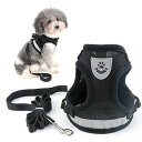 RANPHY メッシュ 犬用 ハーネス 胴輪 反射材料付き リード セット 超小型犬 小型犬 子犬 猫 散歩/訓練/お出掛 ペット はーねす 安全 抜けない 軽...