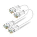 Ankuly Cat6A LANケーブル 短いランケーブル 全長さ0.15m 5本セット RJ45コネクタ 10Gbps サーバー 企業様向け 有線ケーブル ホ...