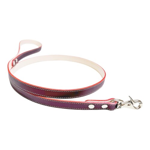 犬 リード 犬リード カラフル 犬 ベーシック シンプル 本革 ヌメ革 おしゃれ かわいい 小型犬 中型犬 日本製 8色 スタンダード (ワインレッド, M)