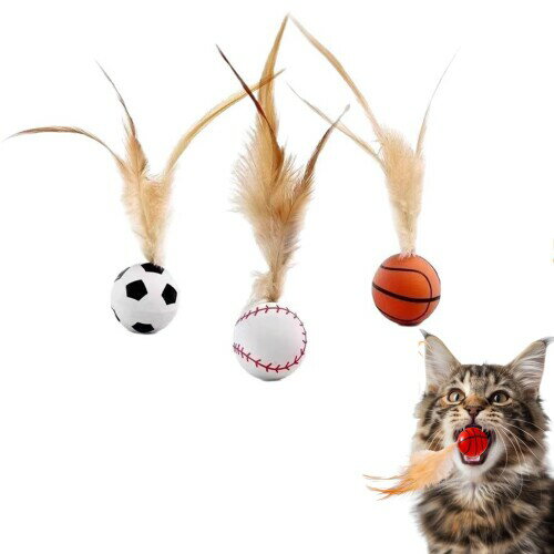 ǭ դܡ  3祻åȥꥳ ?  Х󥷡ܡ ǭѤܡ ư­к Ⲱ 󥿥饯 ǭѤ ...