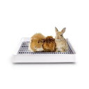 うさぎトイレ モルモットトイレ 四角形 メッシュ付き フェレット チンチラ うさぎ 小動物 トイレ 掃除簡単 お手入れラクラク 清潔 ケージ内装 S 38.3×30.9×6.5cm(4)