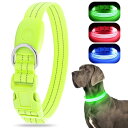 LED 光る首輪 犬 散歩 ライト 夜 ライト 超高輝度 USB充電式 暗闇で光る安全首輪 サイズ調節可能 視認距離500メートル 防水 超高輝度 犬 首輪 (グリーン, L)