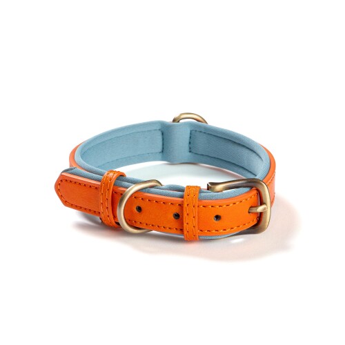 犬 首輪 軽量 レザー かわいい おしゃれ 犬の首輪 (オレンジ, M)