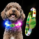 LaRoo 犬光る首輪 視認距離500mで夜間も安心 犬 猫 光る 首輪 ライト 夜 散歩USB 充電式 小型犬 中型犬 大型犬 サイズ調節可能 (Green)
