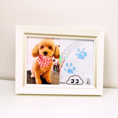 ペット用（犬猫）写真立て 虹 うちのコの声と肉球フォトフレームAnytime a voice カルメホワイト・ブルー